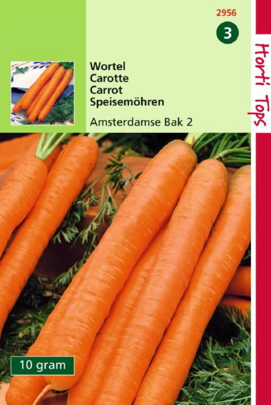 Carrot Amsterdam Bak 2 (Daucus) 10000 seeds
